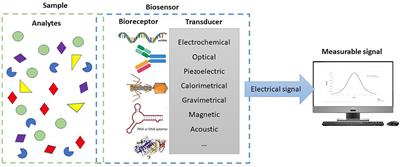 Biosensors for On-Farm Diagnosis of Mastitis